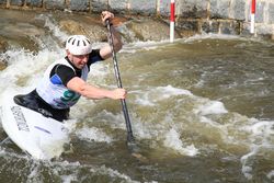 IMG 7184